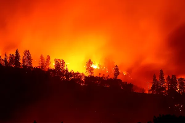 11292018-cawildfires-header.png